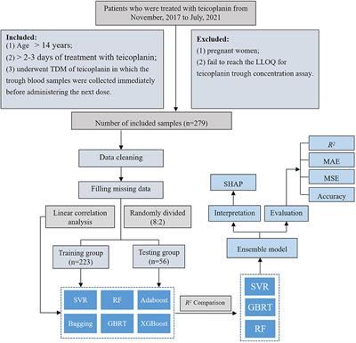 Construction and Interpretation of Prediction Model of Teicoplanin Trough Concentration via Machine Learning